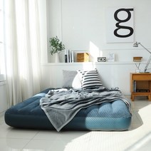 매트리스 듀라빔 원룸 캠핑 공기 매트 인텍스 에어 베드, 퀸사이즈