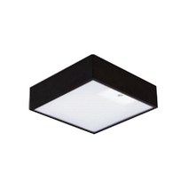 아스텔 소 LED센서등 등기구 조명 램프, 선택_블랙