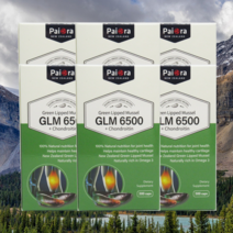 뉴질랜드 파이오라 초록 입 홍합 잎 콘드로이친 리프리놀 비타민E 영양제 300 캡슐 6개