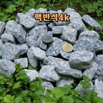 맥반석돌 맥반석자갈 맥반석효능 돌구이판 구이용돌판 돌자갈 작은자갈 분갈이자갈 수족관돌 작은돌 맥반석오징어 수족관 정화 탈취 쌀통 장독대 계란 오징어 누름돌 돌판구이, 소형 2~3cm