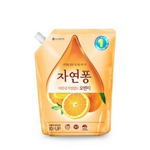 클리너 자연퐁 오렌지 리필 세제 비린내 기름기 찌든때제거-72394EA, DDM_ 1, DDM_ 본상품선택