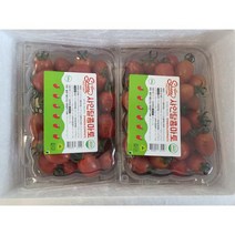 스테비아 방울토마토 500gx5팩 당도높은방울토마토 토마토효능, 단품