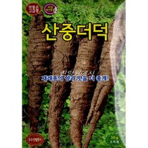 (씨앗) 더덕 - 씨앗 종자 - 넉넉한 양의 포장 - 30g