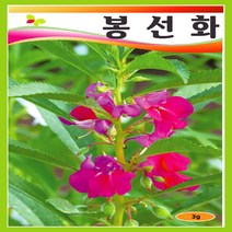 (씨앗) 다양한 꽃씨(36종) + 허브류 (7종) 씨앗 모음 - 2만원 이상, 레몬밤