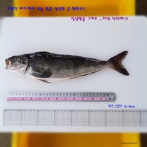 주문진 산지직송 비늘까지 깨끗히 손질한 자연산 생물 큰 임연수 35-37cm 2마리(900g내외), 1마리, 450g(35-38cm)