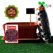 모종114 베란다 텃밭 세트 (미니1) 화분 씨앗 레시피 모종 체험 채소재배 학교 실과, M102_청상추씨앗(청치마) 1봉지