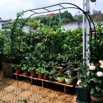 아치형 꽃꽂이 등나무꽂이 정원 월계화 스탠드 철선 연녹로 식물꽂이 야외 꽃문 정원 장식, 그린 2.6 너비 2.3m