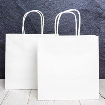 진영 쇼핑백 화이트트위스트 2호