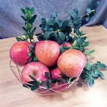 블랙애플 사과유명한곳 충주 안동 청송 꿀 부사 사과 5KG, 부사 사과 5kg 약 12-15개 사이