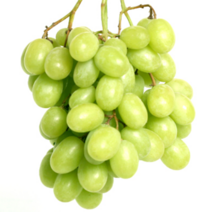 샤인머스켓 청포도 거봉 1kg, 1박스, 12_수입 청포도 1kg