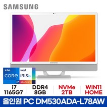 삼성 올인원PC DM530ADA-L78AW - 8GB 2TB WIN11 HOME ED