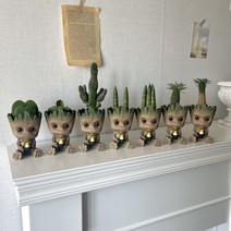 키우기쉬운 실내공기정화식물 집들이 개업 식물 화분, 괴마옥2