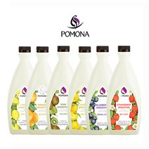 포모나 스무디 2kg 딸기 망고 키위, 8. 세미 키위스무디2kg