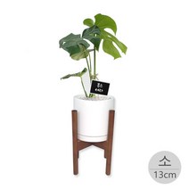 마이플랜트 세라믹 우드 스탠드 무광 화분세트 (소), 단품