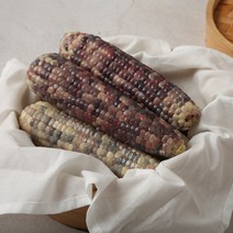 삼기품 쫀득하고 고소한 곡성 삼기 흑찰옥수수, 3팩, 3개입