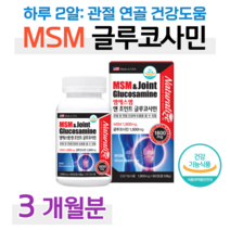 60대 70대 조인트 글루코사민 MSM 엠에스엠 프리미엄 매일 캡슐 무릎 관절 연골 손목 건강 도움 홈쇼핑 영양제 성분 가격 맥스 효능 밸런스 비교 그루코사민 글루코사밍, 3통, 1800mg x 60정 (하루 2정)