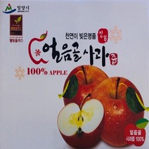 얼음골 사과즙, 100팩(무료배송), 100ml