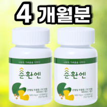 순환엔 약사가 만든 프리미엄 혈액순환영양제 은행잎추출물 마그네슘, 120정, 2개