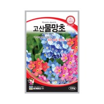 모칸도 (무배)세계 물망초 고산 꽃씨 (100립)