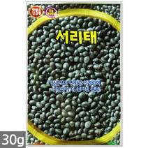 흰강낭콩 씨앗 30g - 네이비빈 강낭콩씨앗 강낭콩씨 콩씨앗 콩씨 씨 강남콩 주말농장 텃밭, 17_서리태콩(30g)