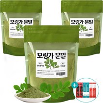 모링가 분말 인도네시아산 잎 모링가가루 파우더 대용량 500g 할인가 + 사은품 증정, 3개