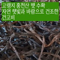 국산 햇 나물 강원도 홍천 산지직송 건 고비나물 100g 자연 바람 햇볕 재배 말린 고비 건조한 고비나물 정월대보름나물