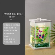네온테트라 희귀열대어 새우키우기 어항꾸미기 루돌프구피 하프문베타 엔젤피쉬A09, 옵션6
