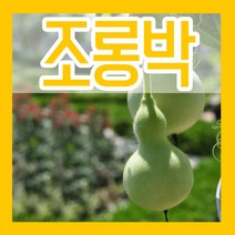 수박씨앗 참외 멜론 박씨 애호박 쥬키니호박 조선호박 단호박 밤호박 맷돌호박 땅콩호박 슈퍼호박 미국호박 수세미 동과 조롱박 텃밭 파종 종자 재배 모음, 13.조롱박씨 10립, 1개