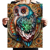 ZOZI액자 캔버스형보석십자수 Diy세트 라운드 비즈 40 X 50cm200 핫 제품, 031. 귀한 부엉이 ZF0031, 40X50cm