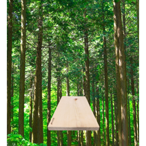 은우네 S719 지리산 원목 편백 나무 도마 양면위생 통도마 고급 대형 44x24cm