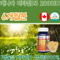 식약처 인증 캐나다 CANADA 비타민 D 3 2000IU 대용량 칼슘과 인이 흡수되고 이용되는데 필요 건강 기능 식품 영양 보충 제 파는곳 추천, 1