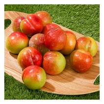 [초록자연] 추희 자두 5kg (41-45과) (특) 선물용과일, 상세 참조