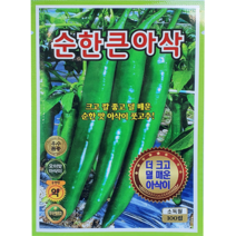 [씨앗맛집] 순한큰아삭고추 안 덜매운 아삭 풋 오이 고추 야채 채소 씨앗 씨 모종 종자, 1개