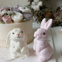 수제몰드 귀쫑긋한토끼(3D)