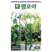밀크티쓸 흰무니 엉겅퀴 2g - 씨 씨앗 밀크씨슬 엉겅퀴씨앗 나물 나물씨앗 채소씨 채소씨앗 흰무니엉겅퀴, 17_다농_뱀오이(5립)