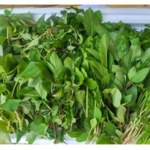 혼합 채소 500g/아시아 농장 송소희, 500g