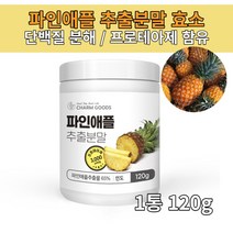 소화안될때 파인애플 추출물 연육 지방분해 다이어트 효소 아밀라아제 프로테아제 브로멜라인효소, 120g, 1통
