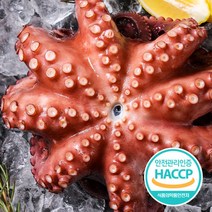 국산 자숙 문어 데친 숙회 제수용 500g 1kg 1.5kg 국내산 손질 문어 180g 500g 활 생물 문어 1kg, 6. 손질문어 180g 2팩