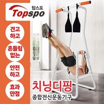 탑스포츠 치닝디핑 딥프레스 철봉 딥바 홈짐, 전문형치닝디핑블랙