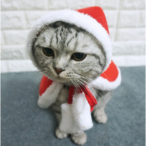 이니치오 국내배송 강아지 고양이 크리스마스 모자 망또 겨울옷 08