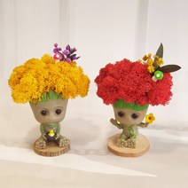 스칸디아 모스 승진 집들이 카페 개업 화분 천연이끼 인테리어 식물 귀여운 그루트 선물, 1.병아리, 민트