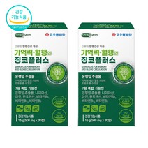 혈관건강 혈행엔 징코플러스 수험생 기억력개선 은행잎 추출물 뇌건강 영양제, 60정x1개, 1개