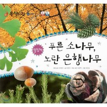 푸른 소나무 노란 은행나무, 한국톨스토이