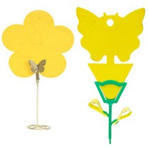 화분파리 살충 끈끈이 날파리제거 초파리트랩 날파리트랩 뿌리파리 제거제 파리끈끈이, 사각트랩 중10매