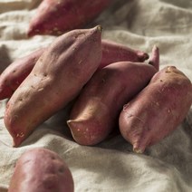 오늘팜 햇 밤고구마 세척 호박고구마 베니하루카 산지직송 3kg 5kg 군고구마, 특상