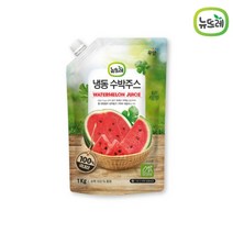 뉴뜨레 냉동 수박주스 1kg /국내산 착즙주스 100% 땡모반 얼린 아이스 생 수박, 수박주스 10팩