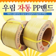송강유통 국산PP밴드밴딩끈용 철크립(2kg)1개, 1개