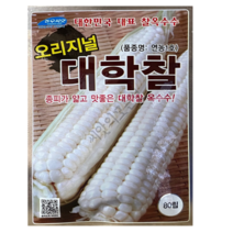 대학찰옥수수종자80립 괴산옥수수씨앗 연농1호