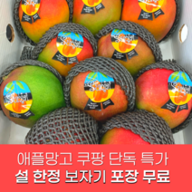 항공직송 프리미엄 고당도 애플망고 선물세트, 로얄과 2kg