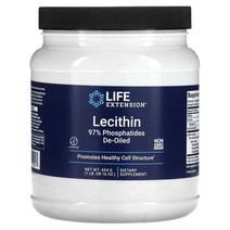 라이프 익스텐션 레시틴 파우더 454g 16 oz 1통, 454g(1통), 2kg